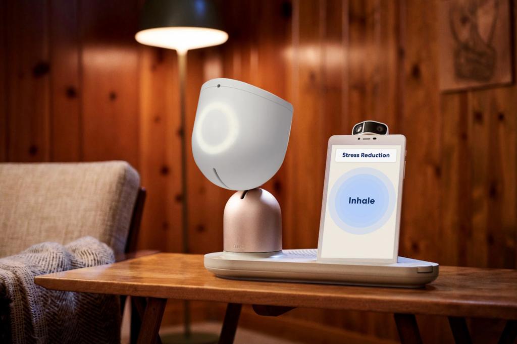 Aged New Yorkers to get robots to assist relieve loneliness