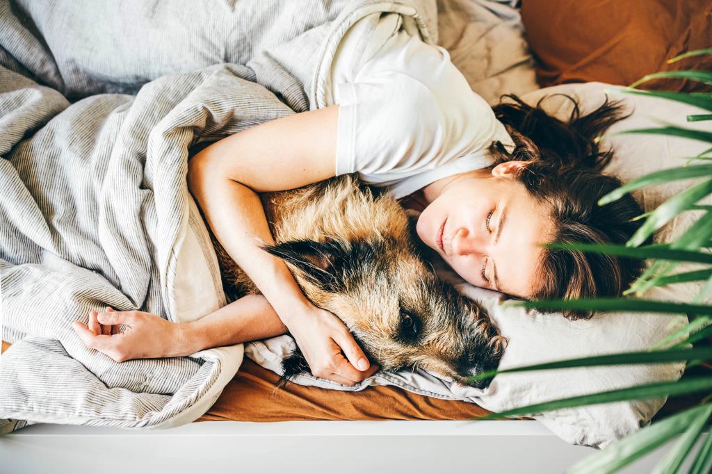Extra folks would slightly sleep with their pet than their partner